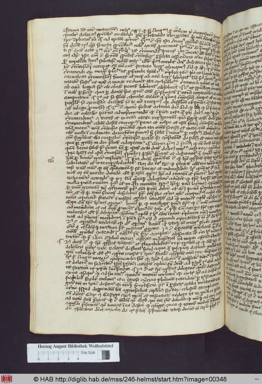 http://diglib.hab.de/mss/246-helmst/00348.jpg