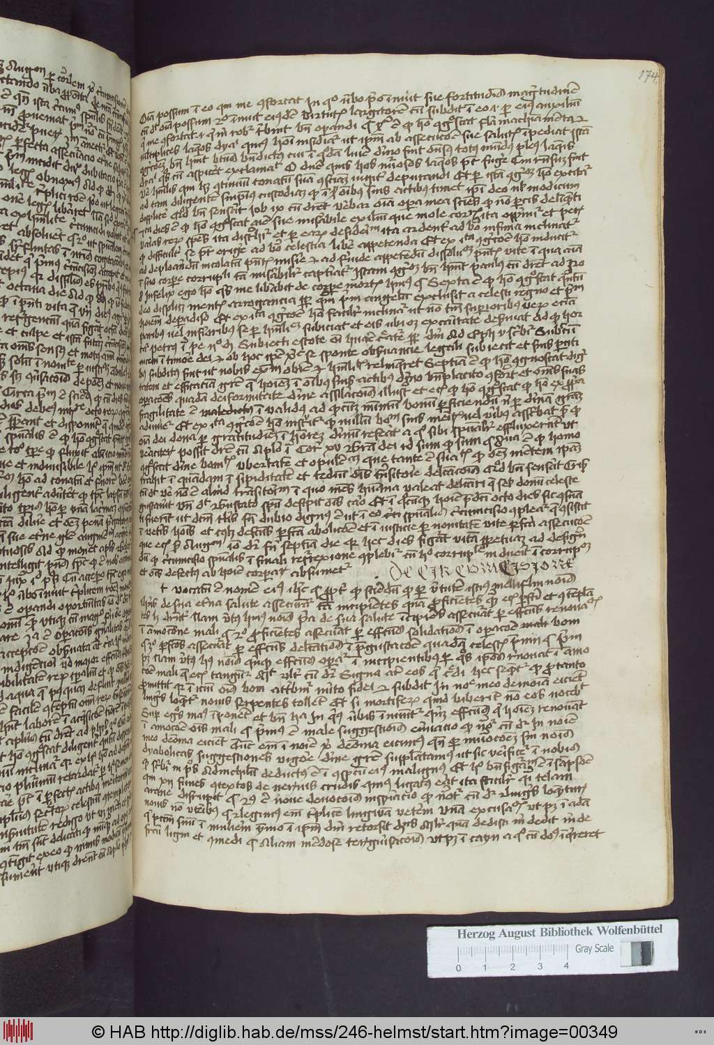 http://diglib.hab.de/mss/246-helmst/00349.jpg