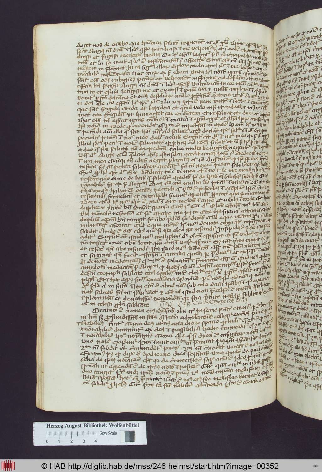 http://diglib.hab.de/mss/246-helmst/00352.jpg