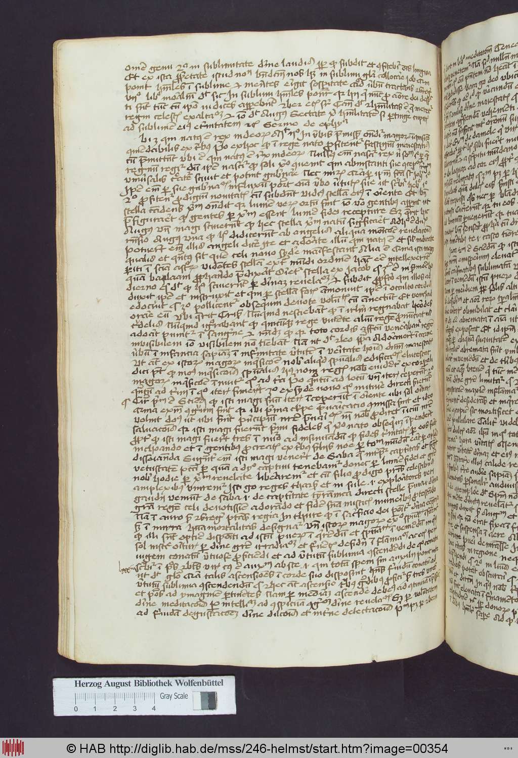 http://diglib.hab.de/mss/246-helmst/00354.jpg