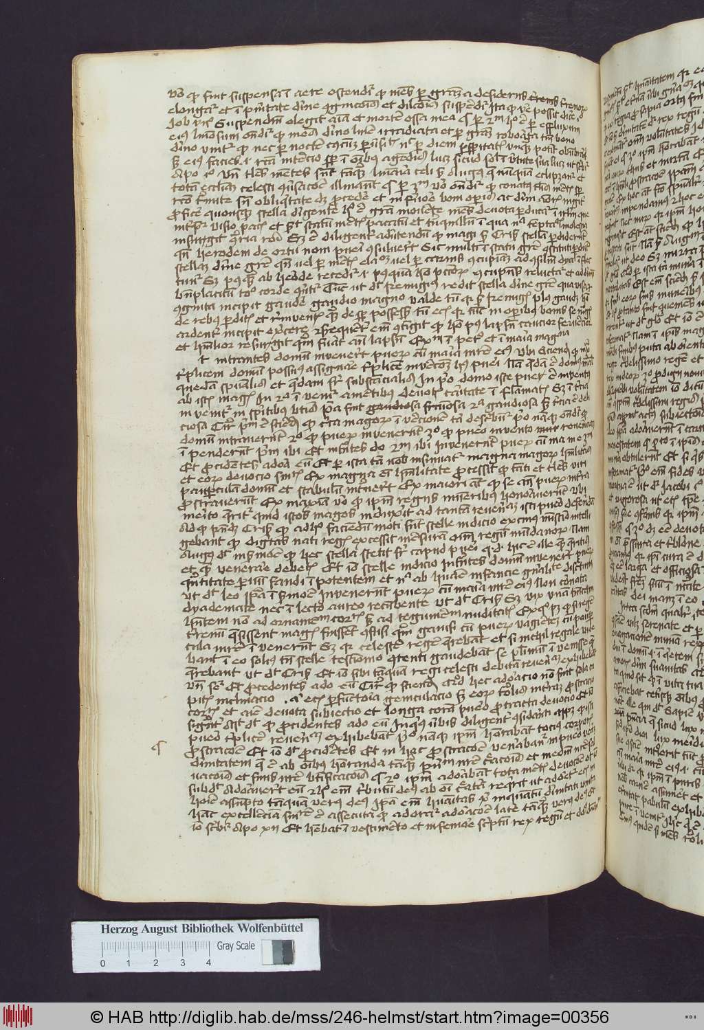 http://diglib.hab.de/mss/246-helmst/00356.jpg