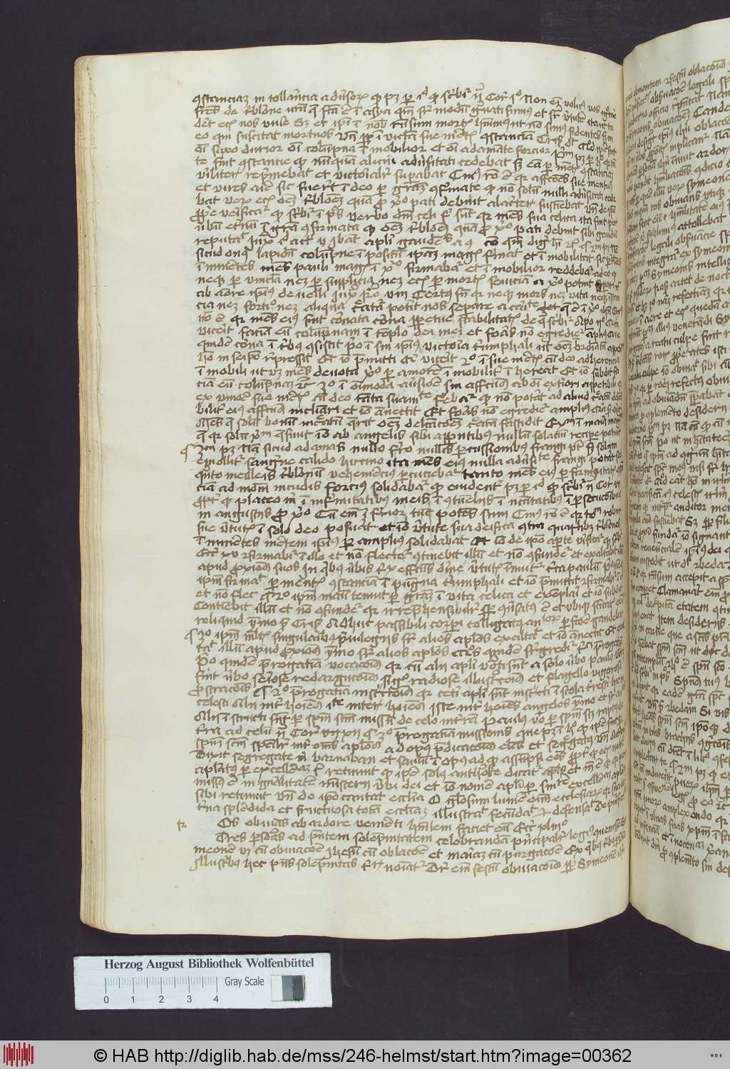 http://diglib.hab.de/mss/246-helmst/00362.jpg