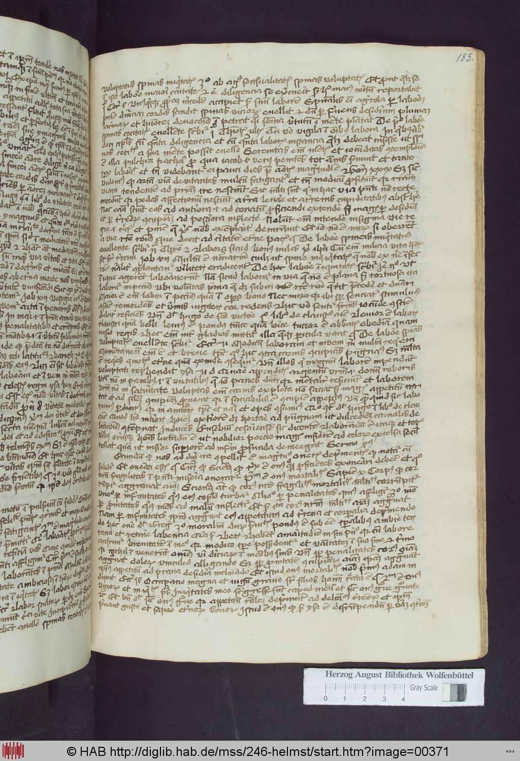 http://diglib.hab.de/mss/246-helmst/00371.jpg