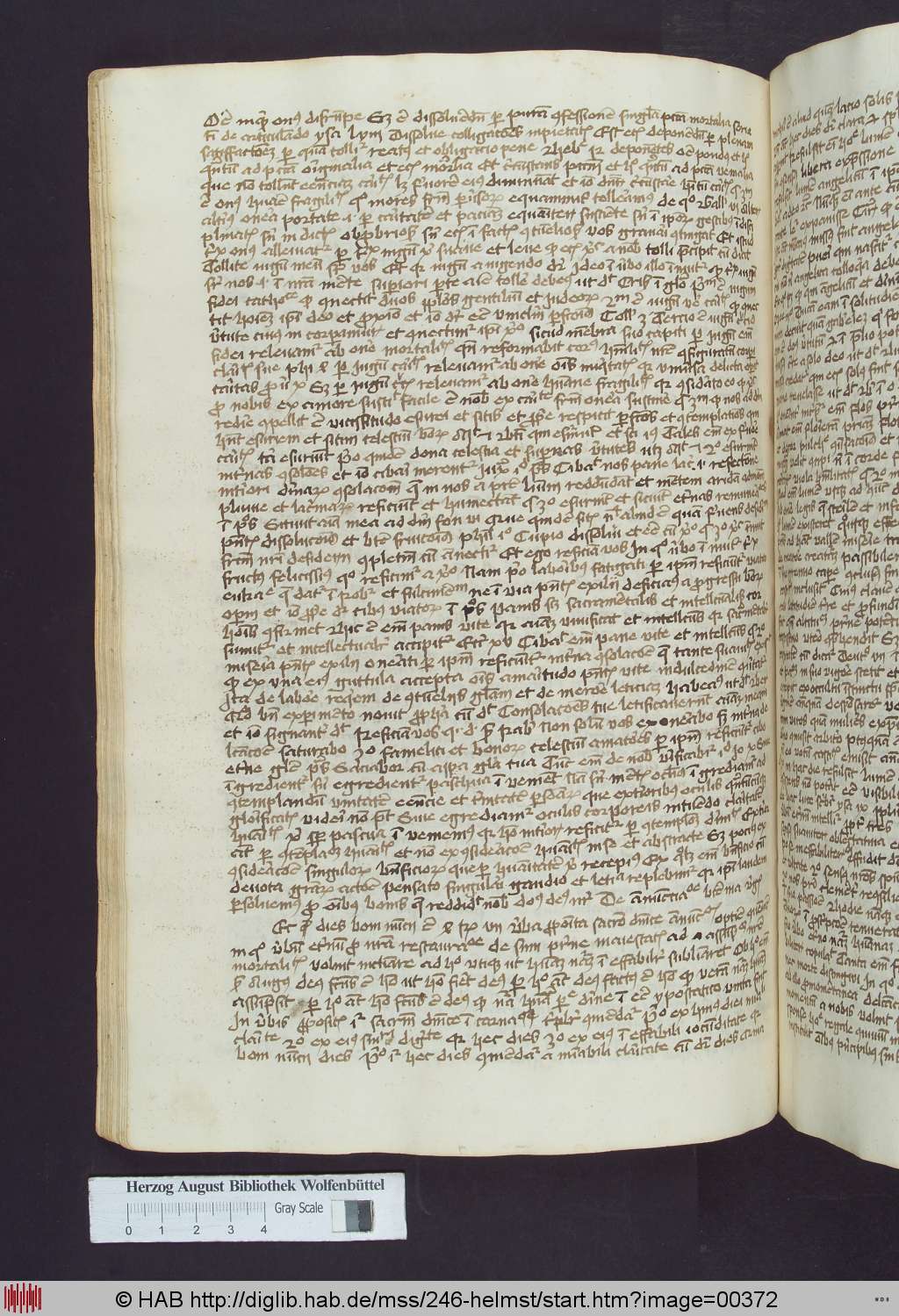 http://diglib.hab.de/mss/246-helmst/00372.jpg