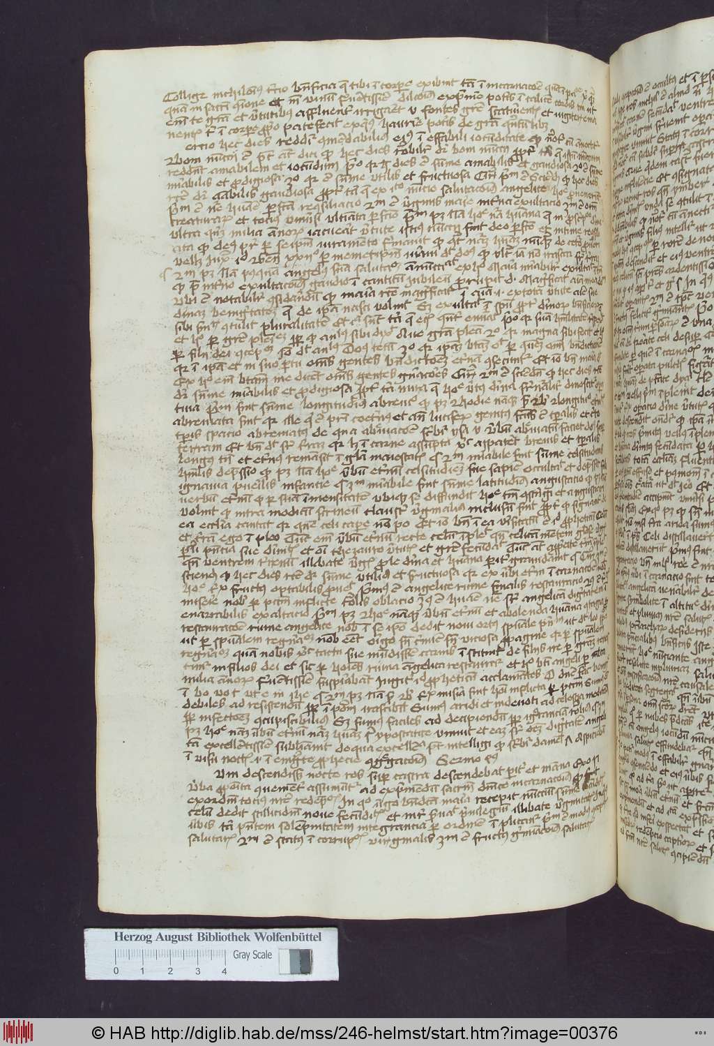 http://diglib.hab.de/mss/246-helmst/00376.jpg