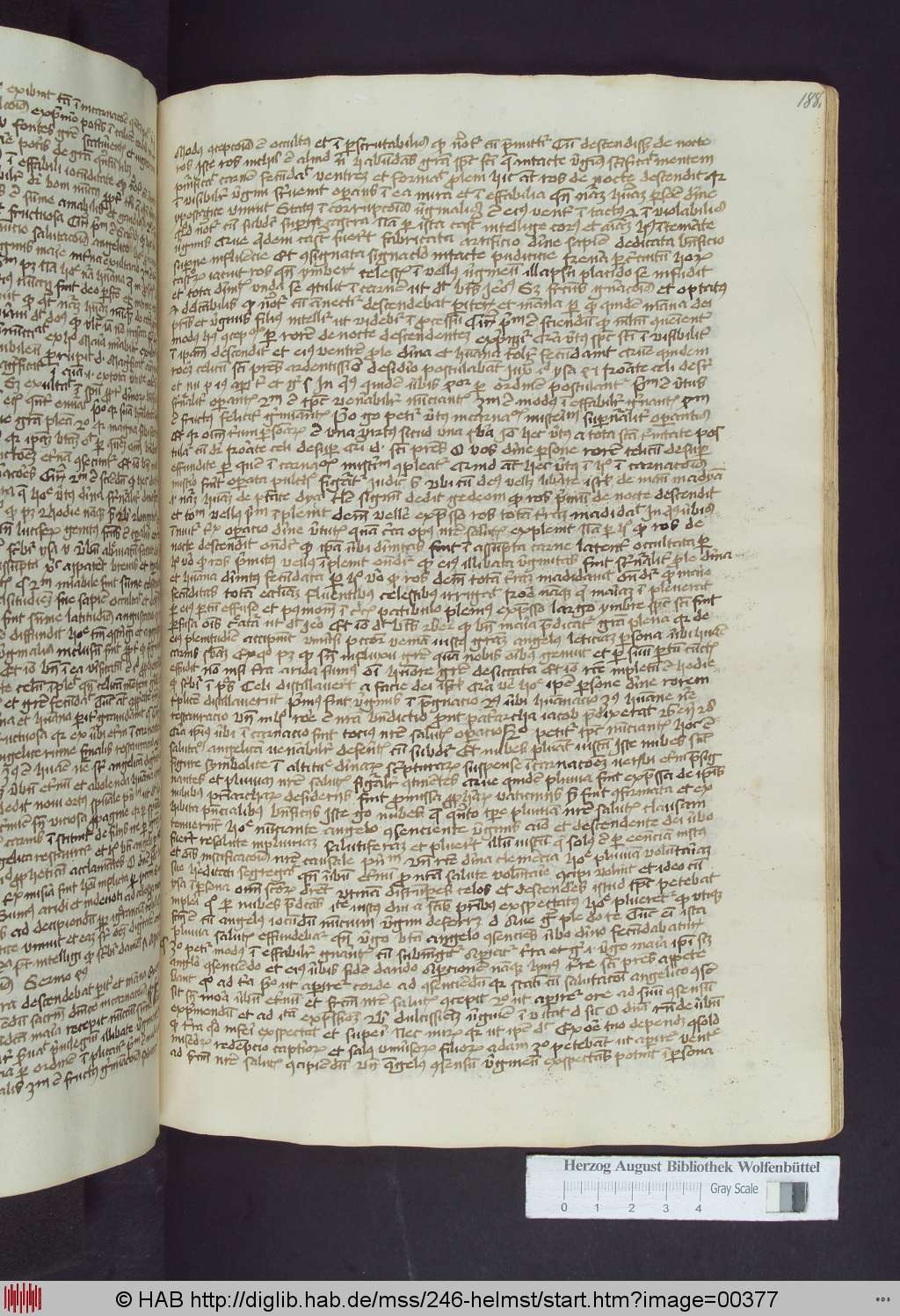 http://diglib.hab.de/mss/246-helmst/00377.jpg