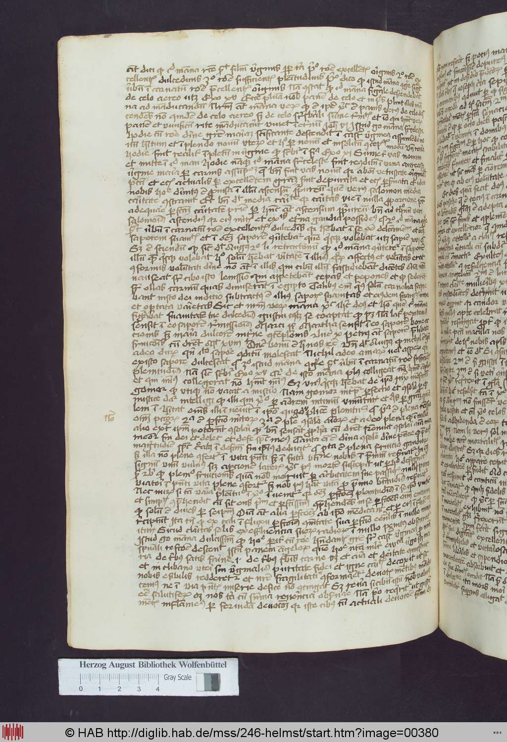 http://diglib.hab.de/mss/246-helmst/00380.jpg