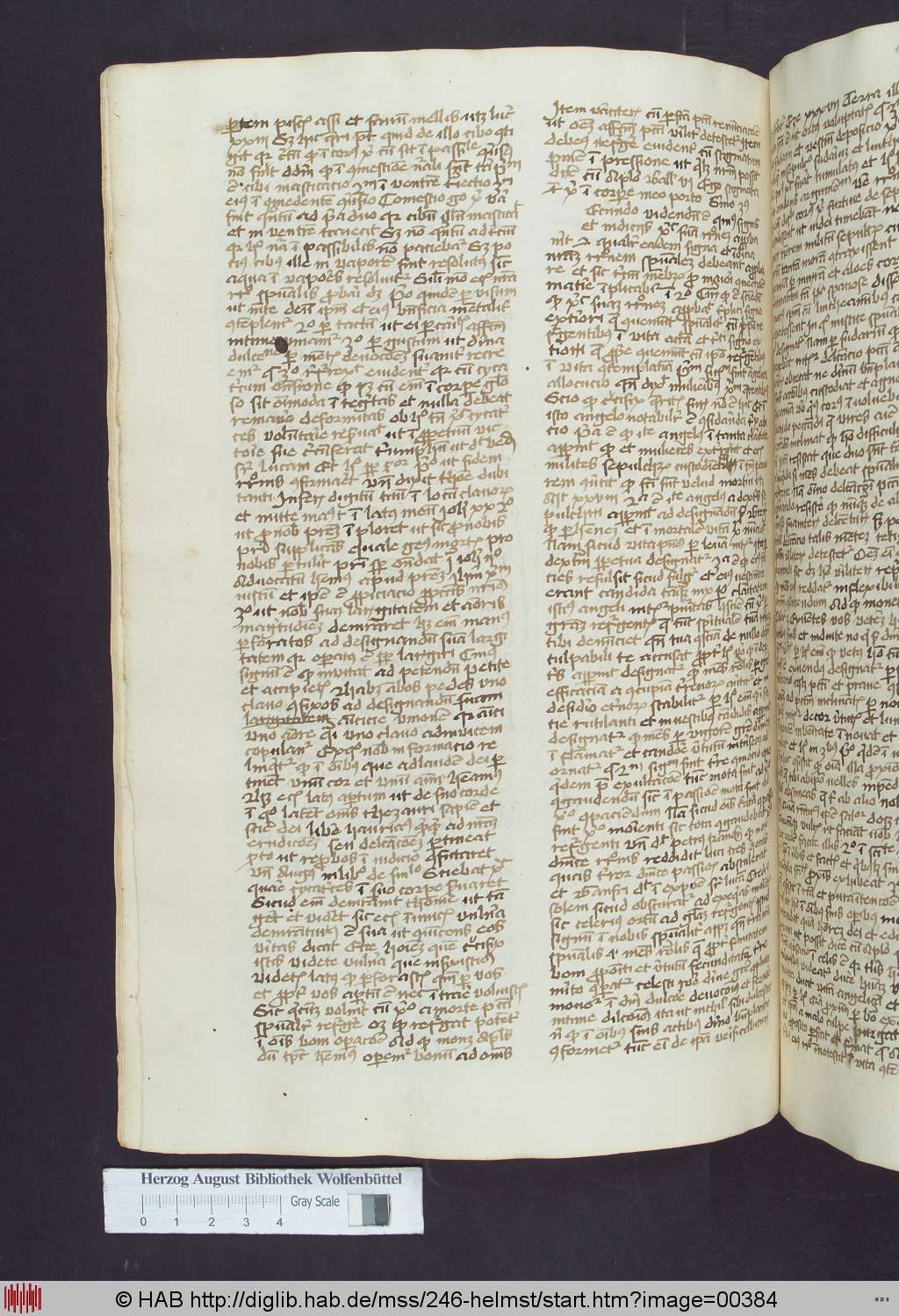 http://diglib.hab.de/mss/246-helmst/00384.jpg