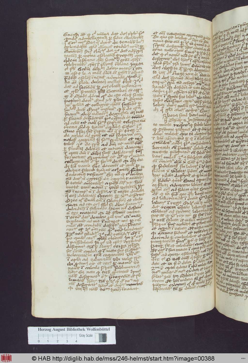 http://diglib.hab.de/mss/246-helmst/00388.jpg