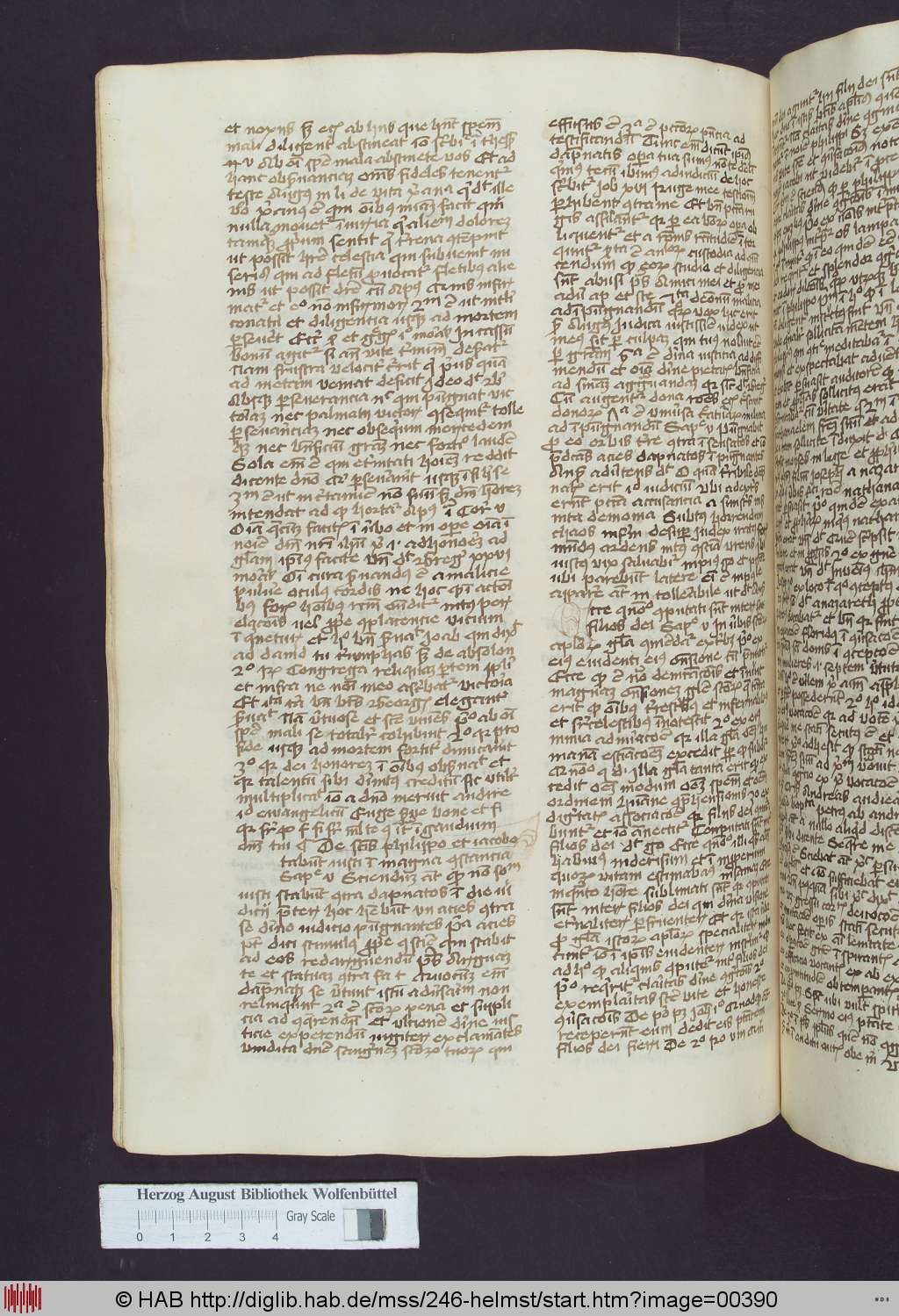 http://diglib.hab.de/mss/246-helmst/00390.jpg