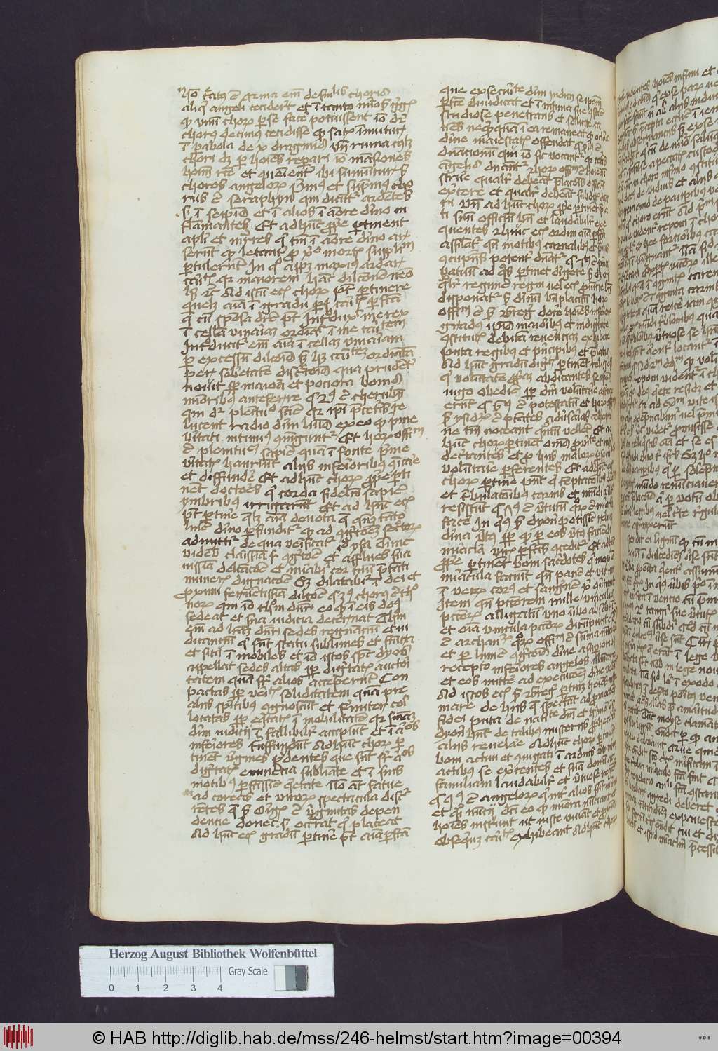 http://diglib.hab.de/mss/246-helmst/00394.jpg