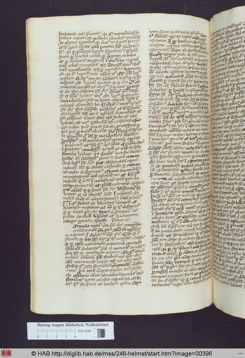 http://diglib.hab.de/mss/246-helmst/00396.jpg