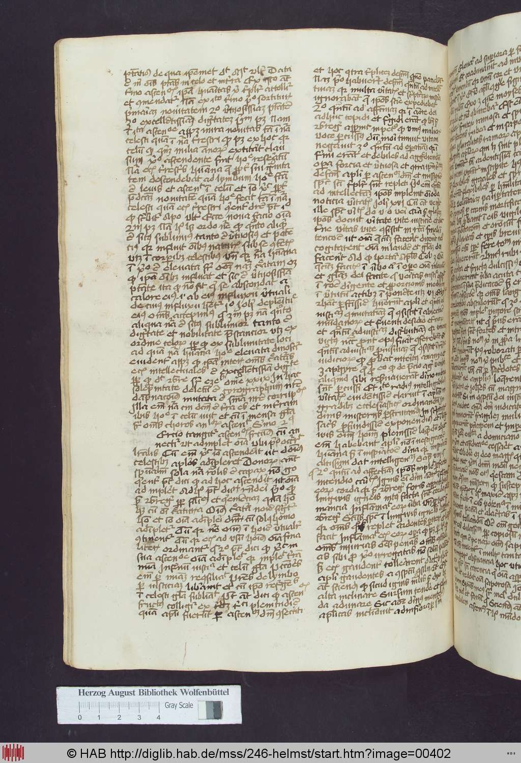 http://diglib.hab.de/mss/246-helmst/00402.jpg