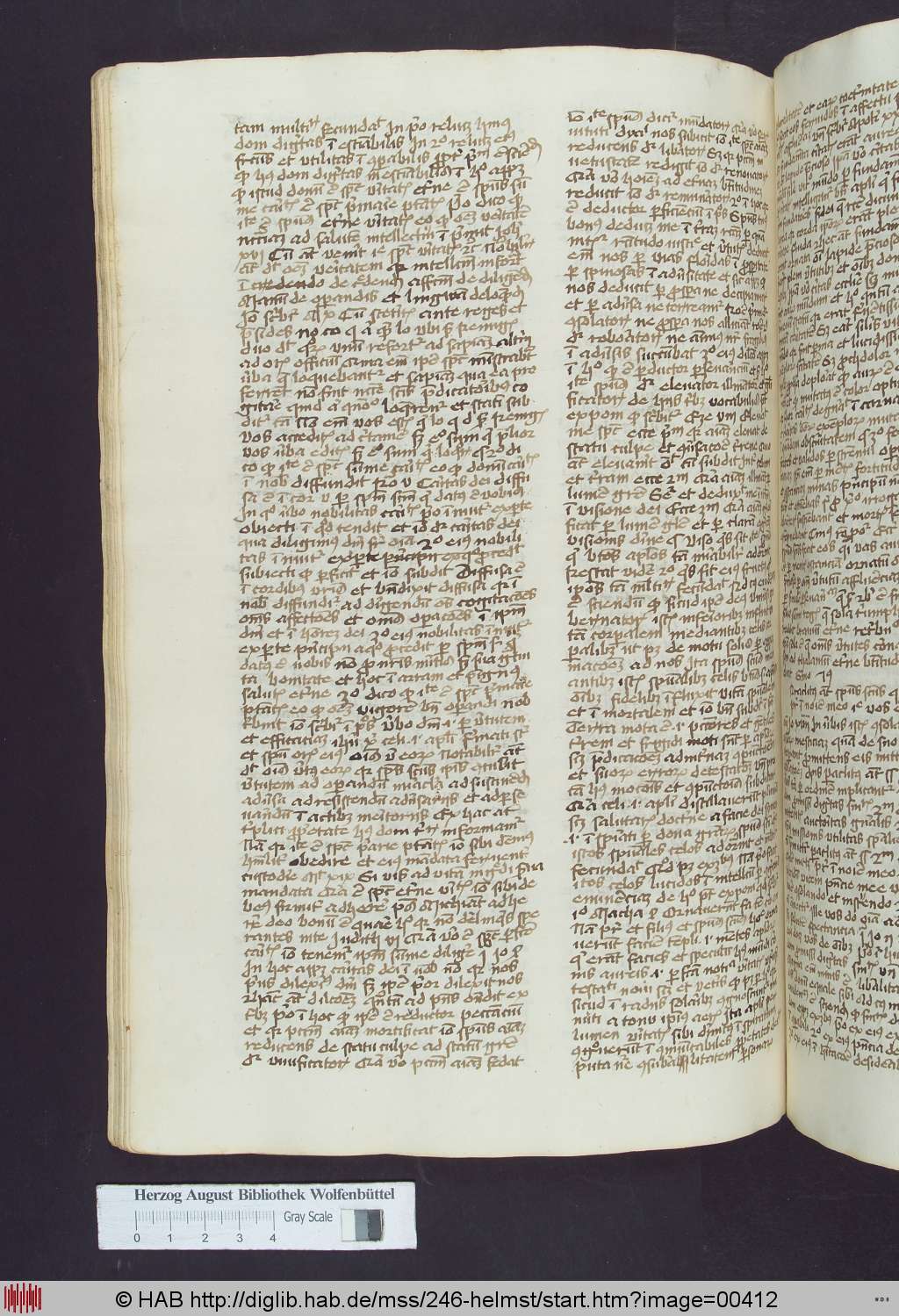 http://diglib.hab.de/mss/246-helmst/00412.jpg