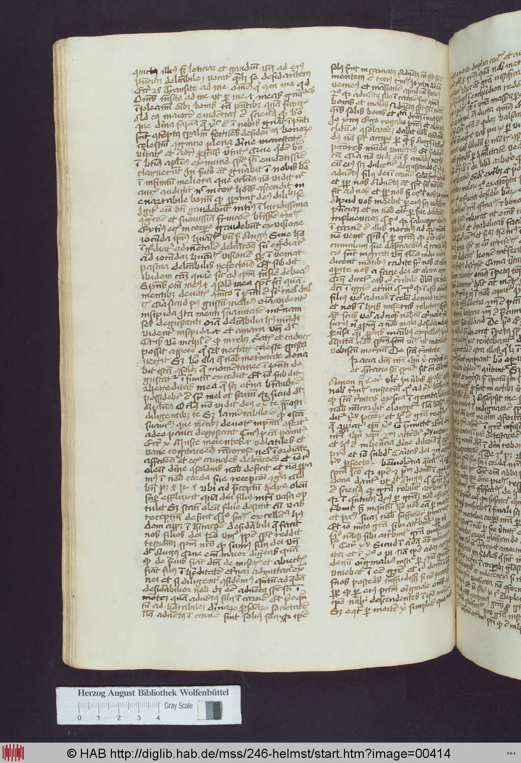 http://diglib.hab.de/mss/246-helmst/00414.jpg