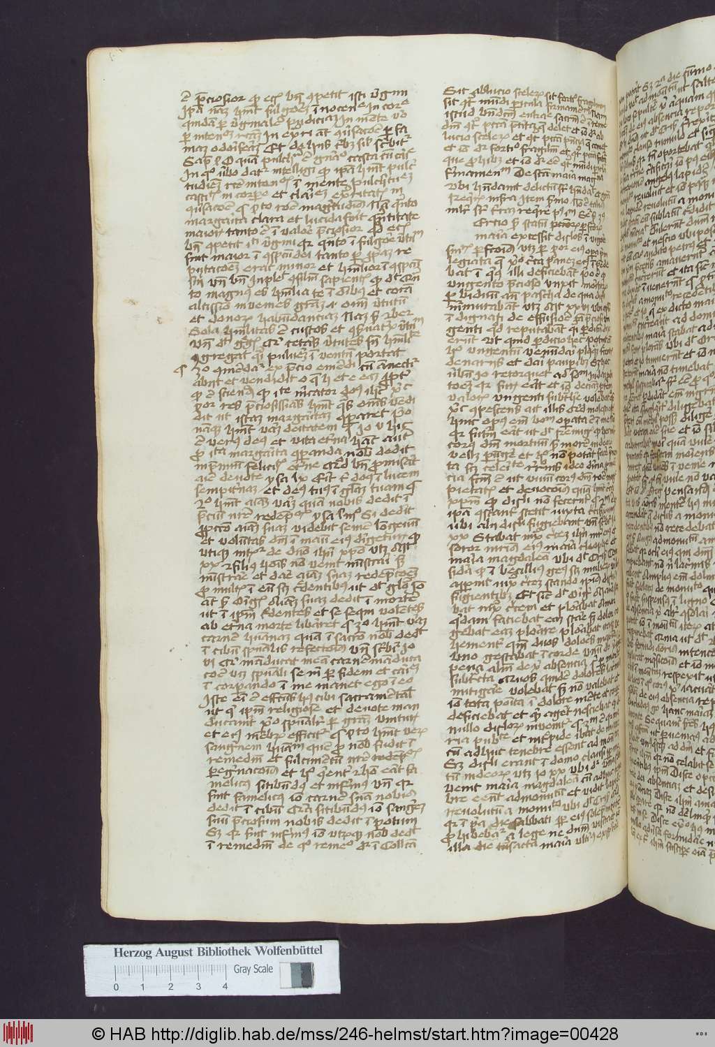 http://diglib.hab.de/mss/246-helmst/00428.jpg