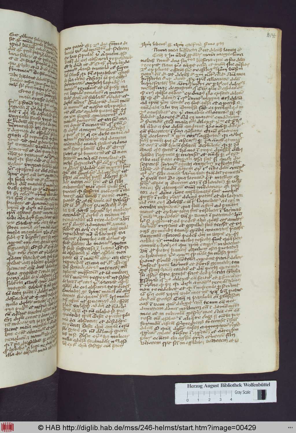 http://diglib.hab.de/mss/246-helmst/00429.jpg