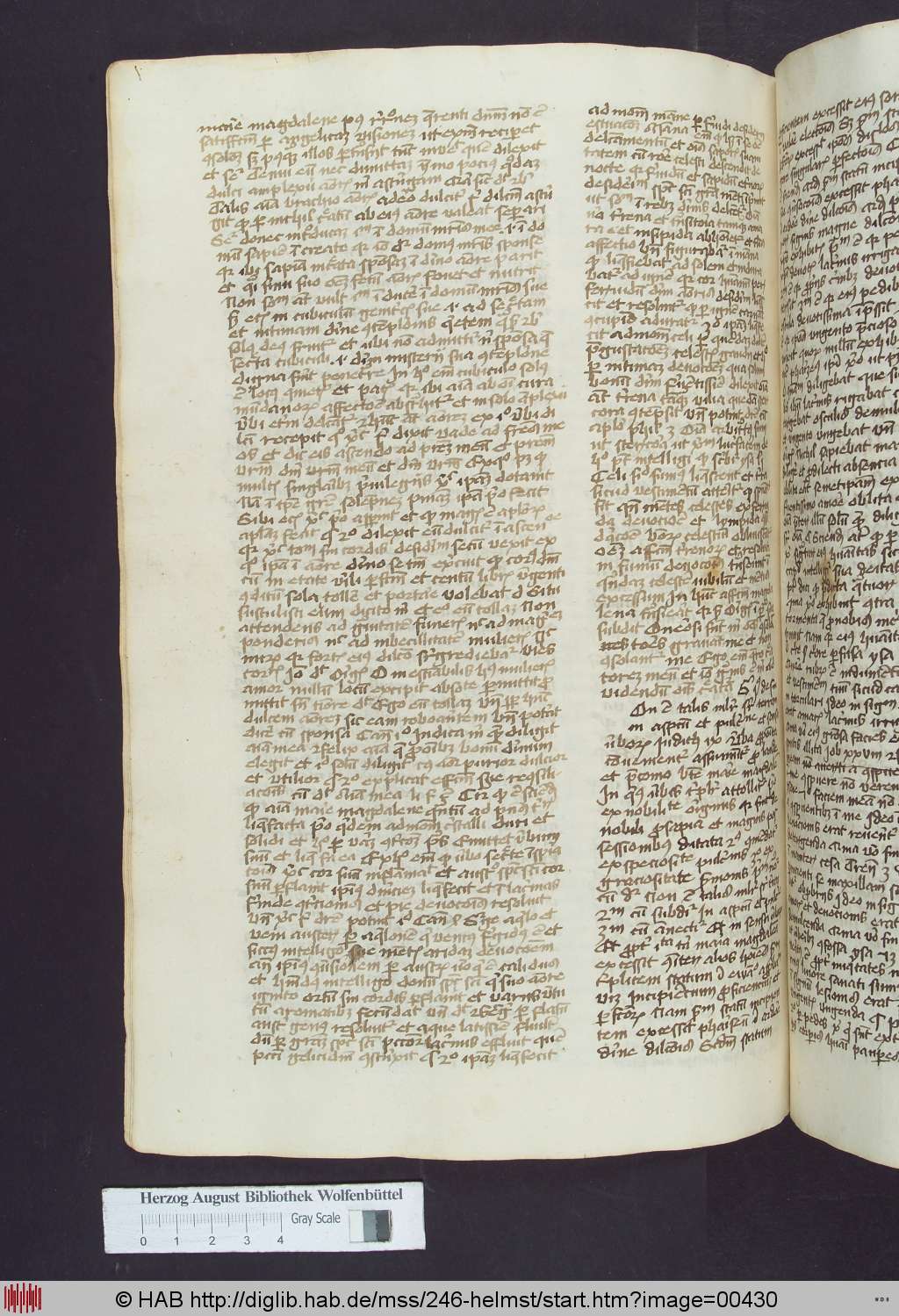 http://diglib.hab.de/mss/246-helmst/00430.jpg
