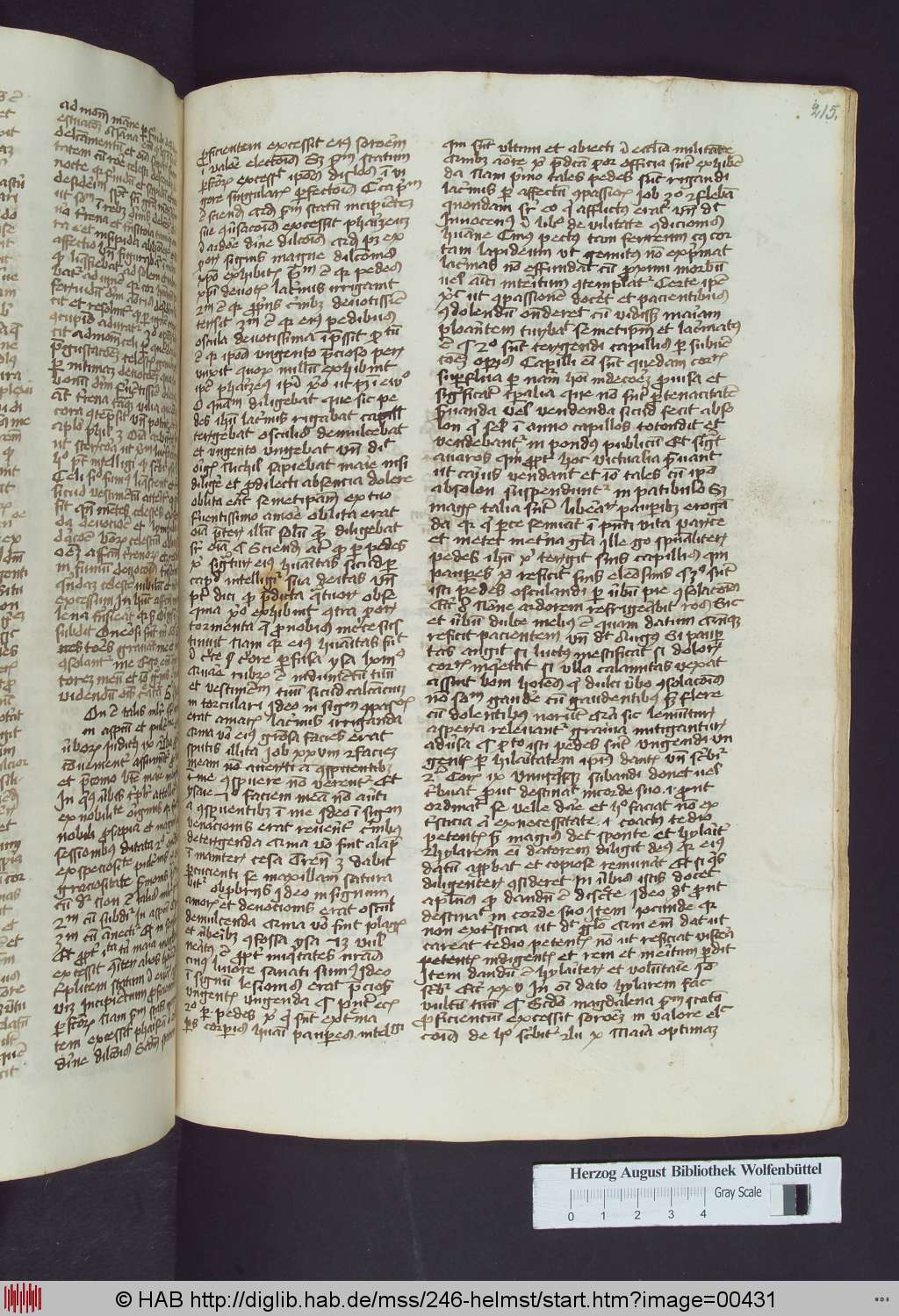http://diglib.hab.de/mss/246-helmst/00431.jpg