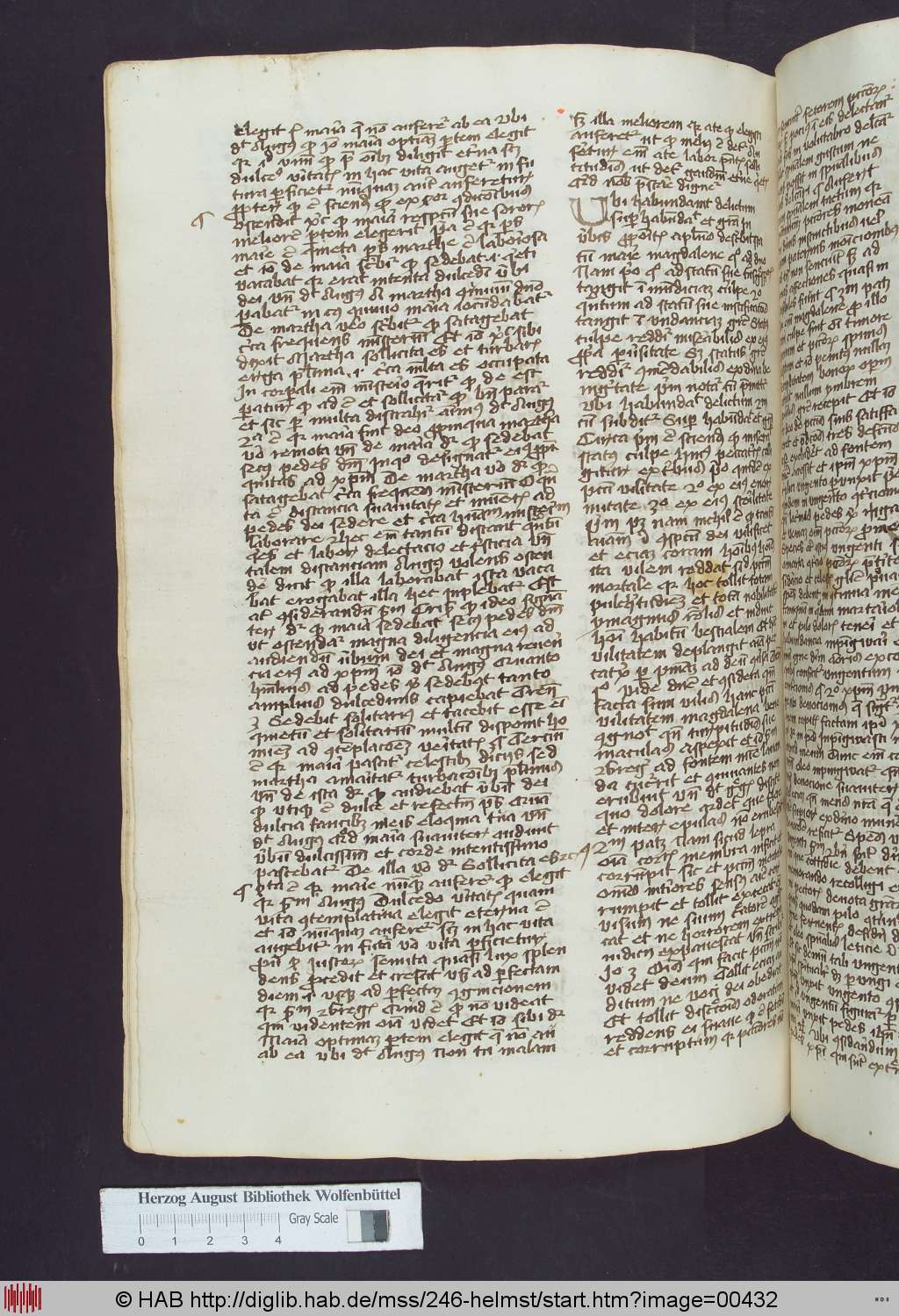 http://diglib.hab.de/mss/246-helmst/00432.jpg