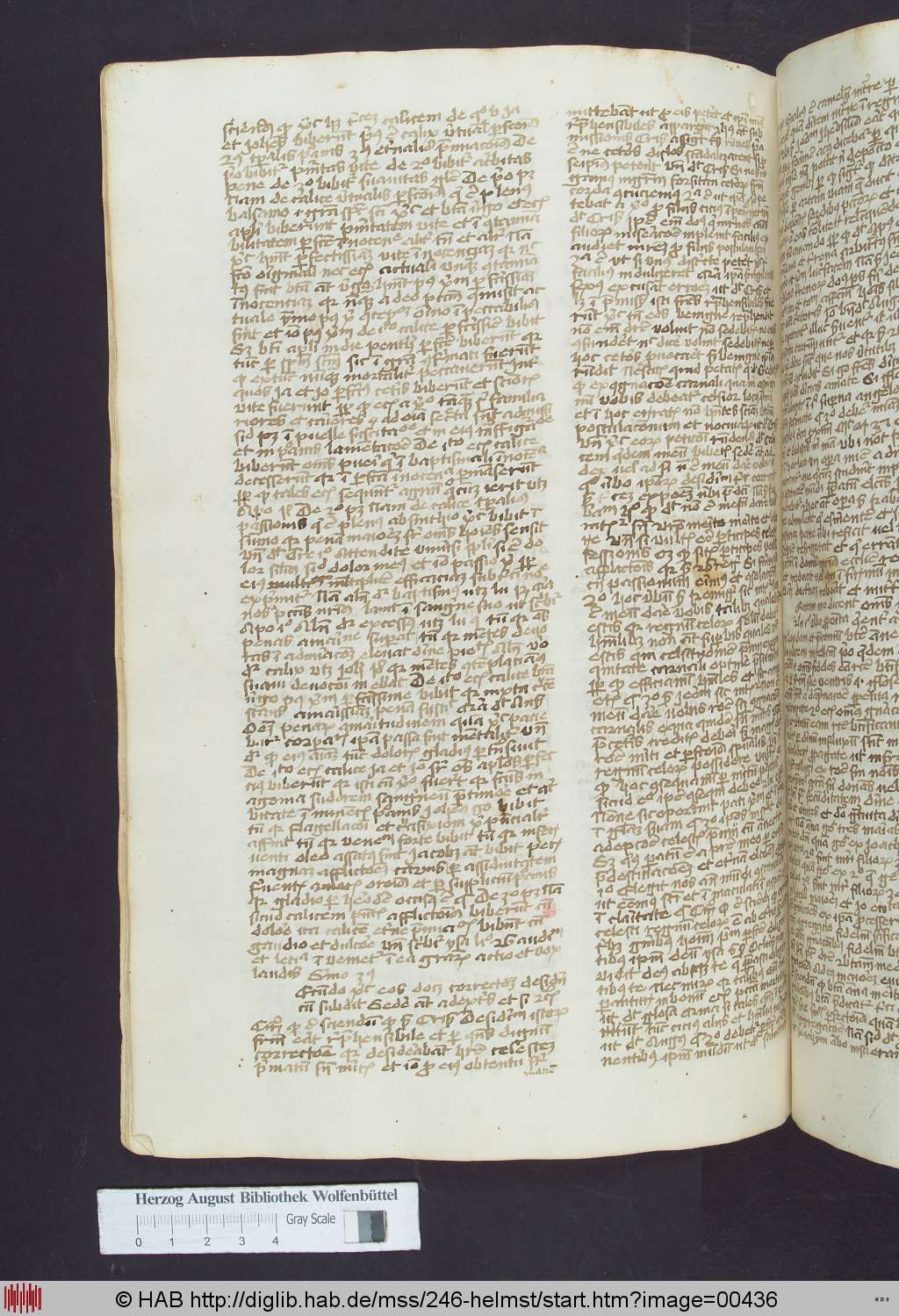 http://diglib.hab.de/mss/246-helmst/00436.jpg