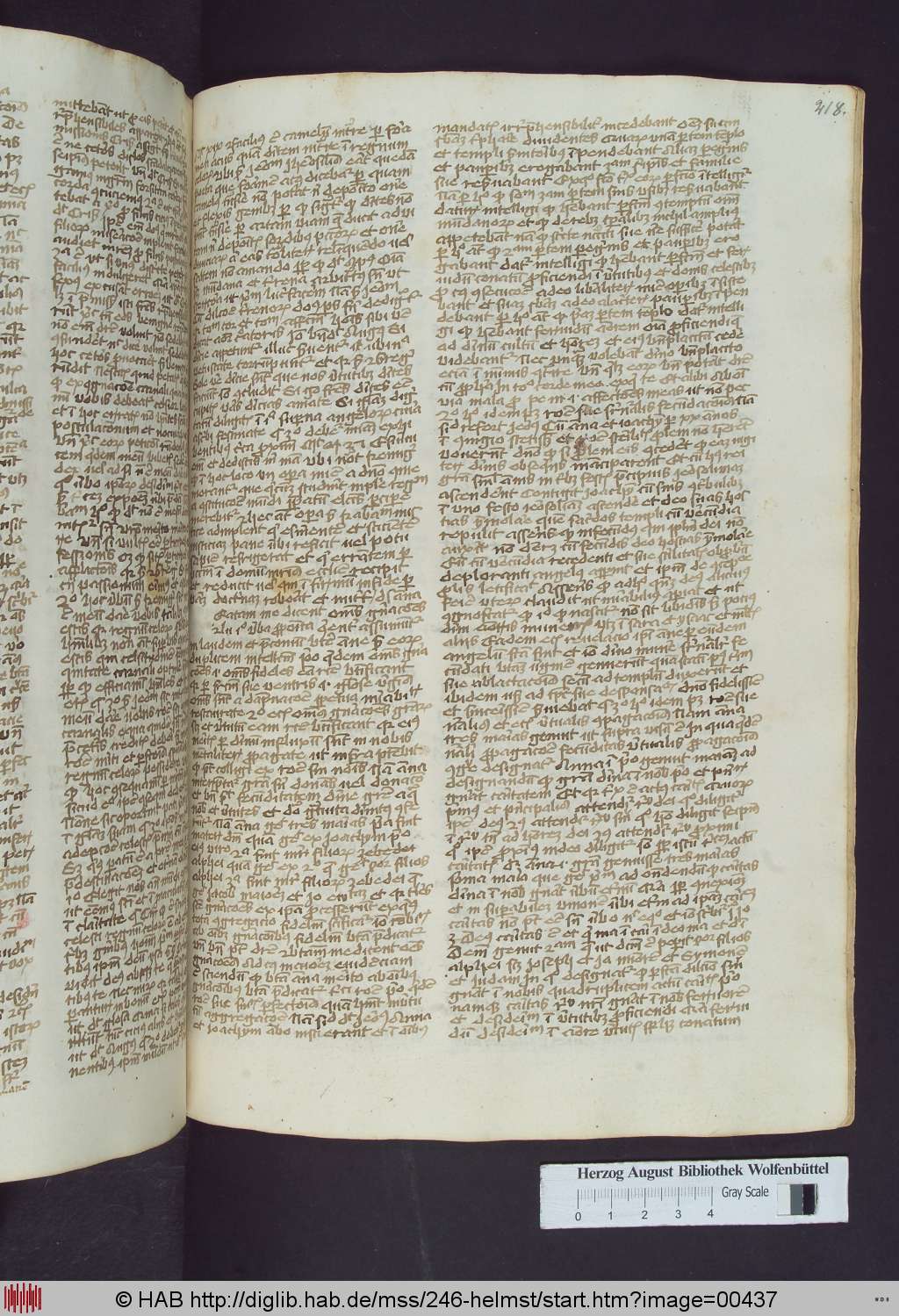 http://diglib.hab.de/mss/246-helmst/00437.jpg