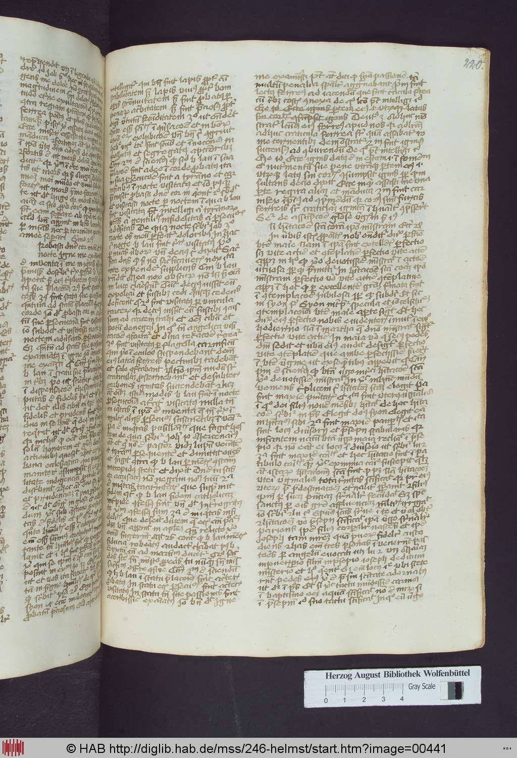 http://diglib.hab.de/mss/246-helmst/00441.jpg