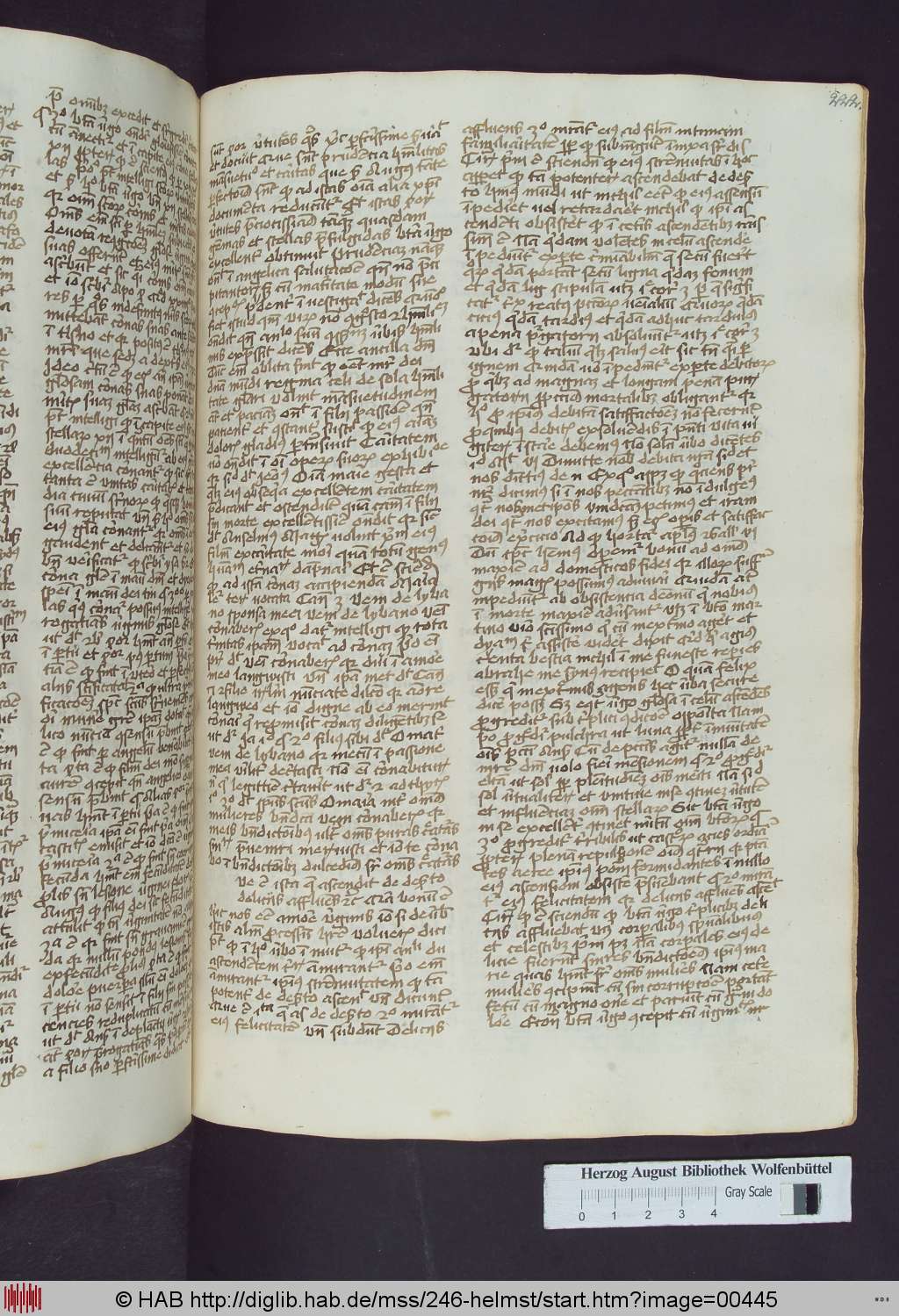 http://diglib.hab.de/mss/246-helmst/00445.jpg