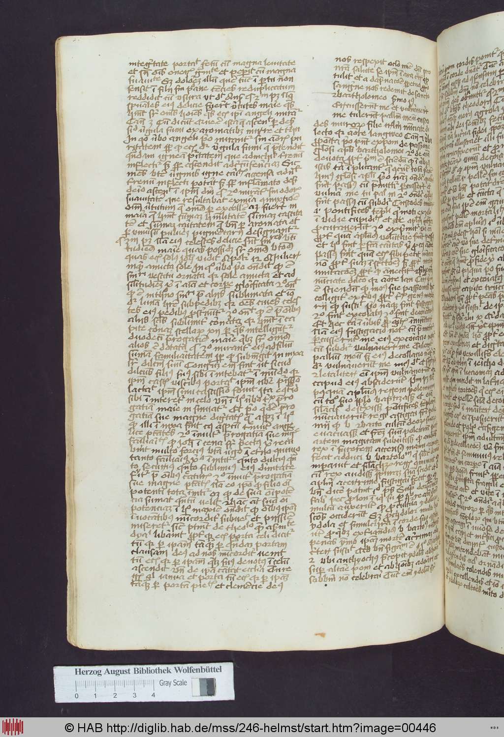 http://diglib.hab.de/mss/246-helmst/00446.jpg