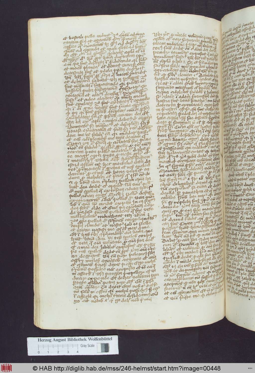 http://diglib.hab.de/mss/246-helmst/00448.jpg