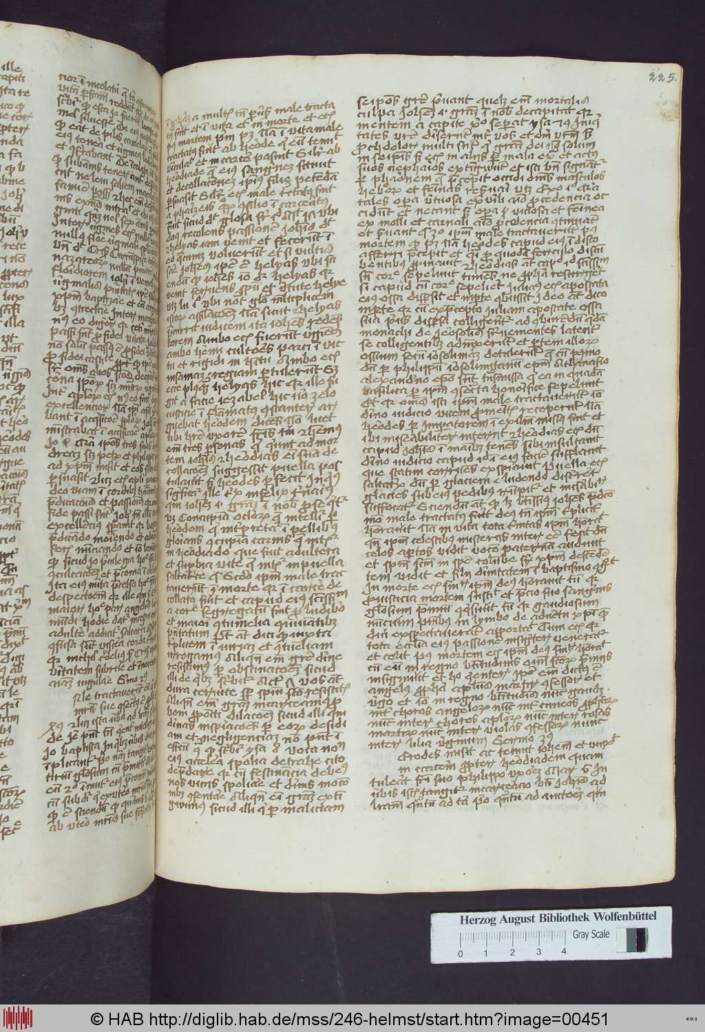 http://diglib.hab.de/mss/246-helmst/00451.jpg