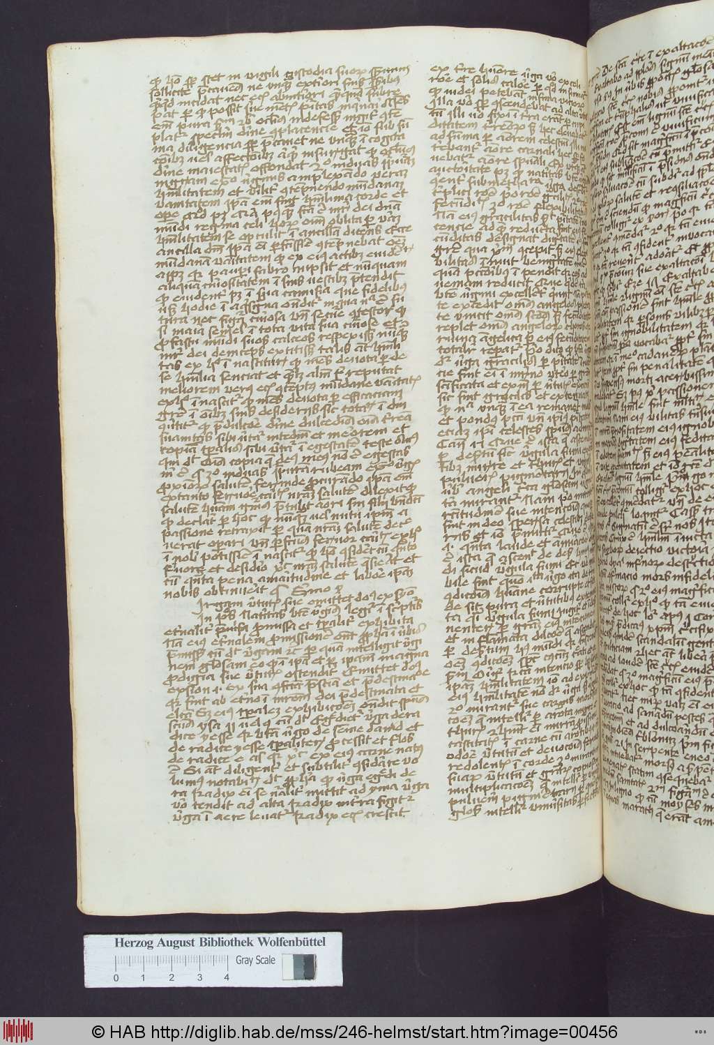 http://diglib.hab.de/mss/246-helmst/00456.jpg