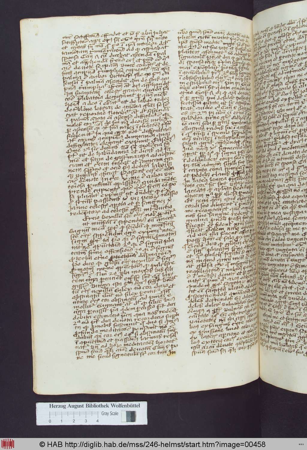 http://diglib.hab.de/mss/246-helmst/00458.jpg