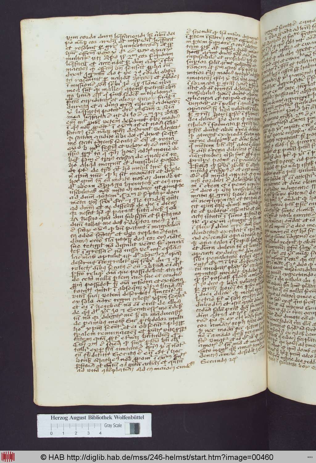 http://diglib.hab.de/mss/246-helmst/00460.jpg