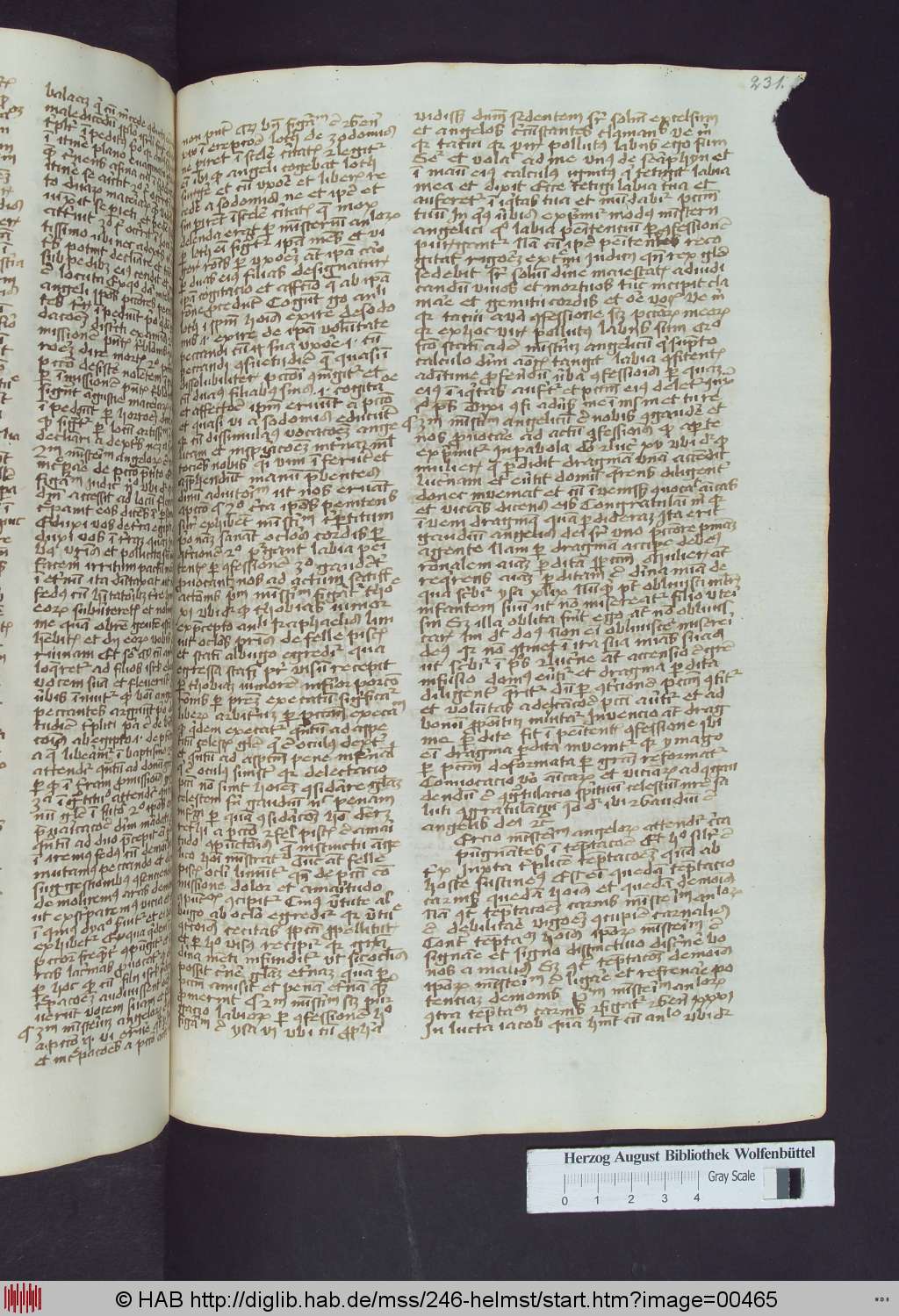 http://diglib.hab.de/mss/246-helmst/00465.jpg