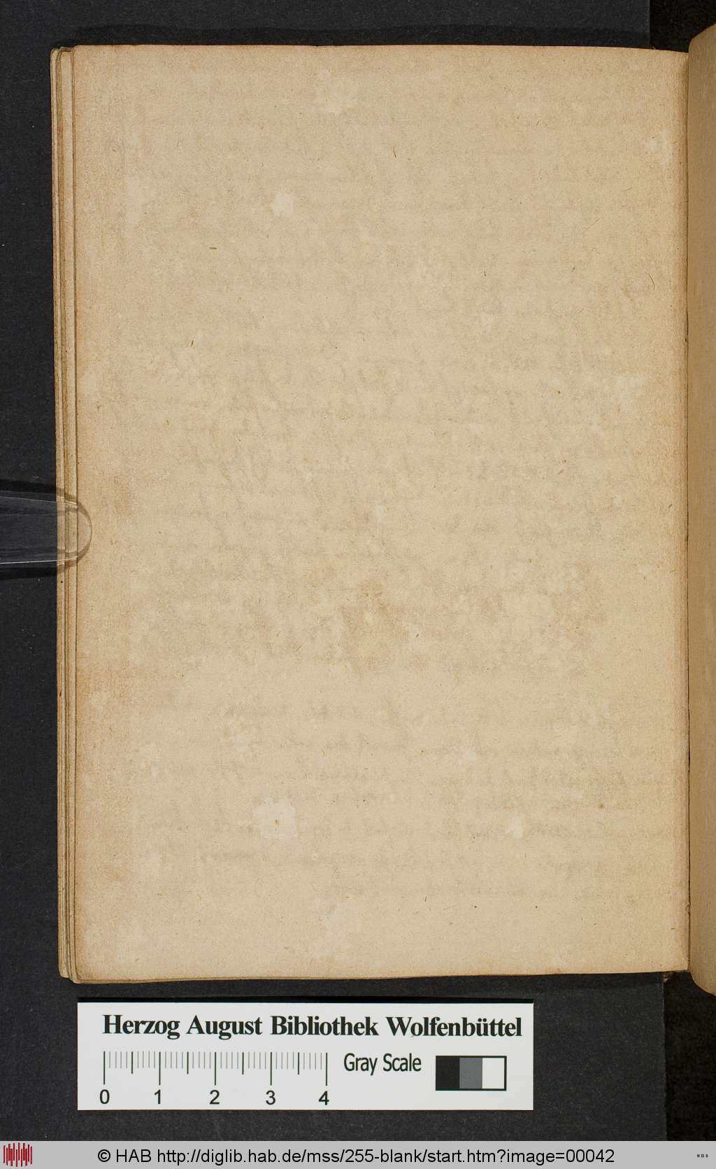 http://diglib.hab.de/mss/255-blank/00042.jpg