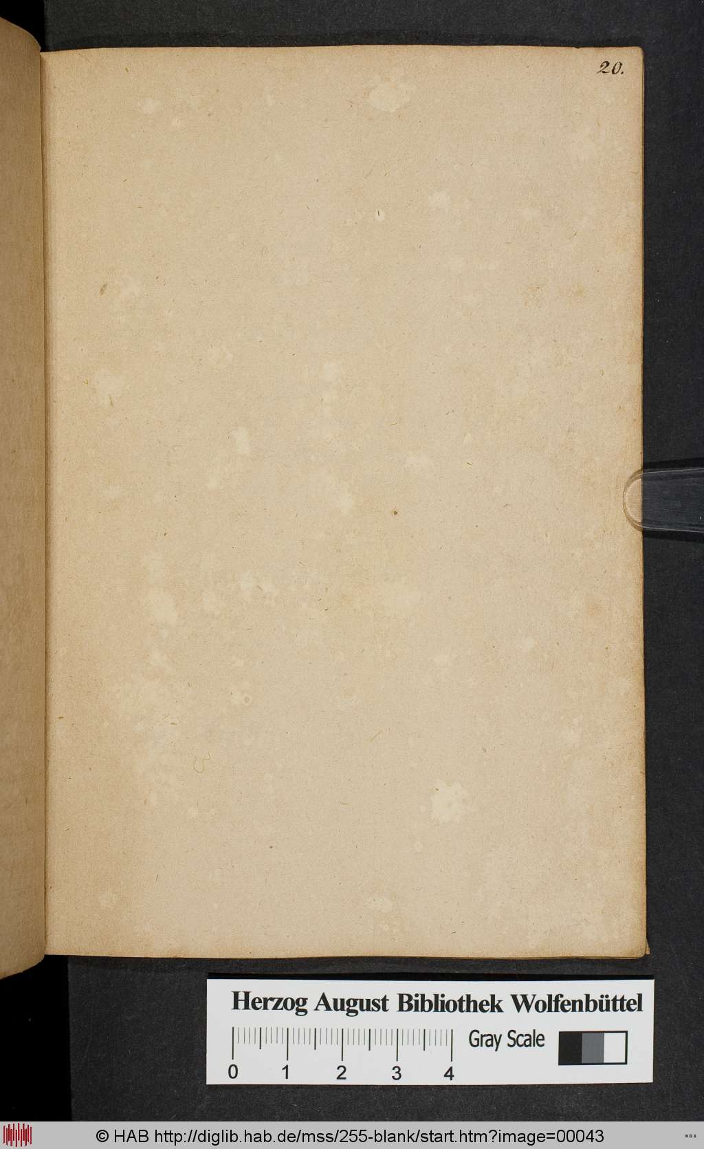http://diglib.hab.de/mss/255-blank/00043.jpg