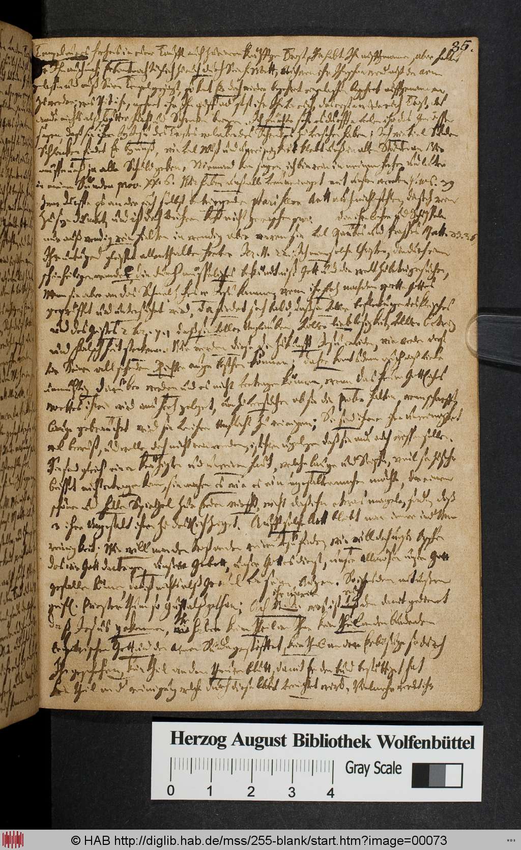 http://diglib.hab.de/mss/255-blank/00073.jpg