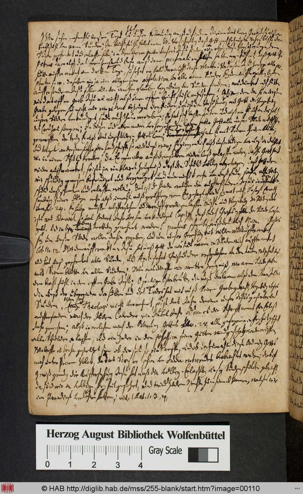 http://diglib.hab.de/mss/255-blank/00110.jpg