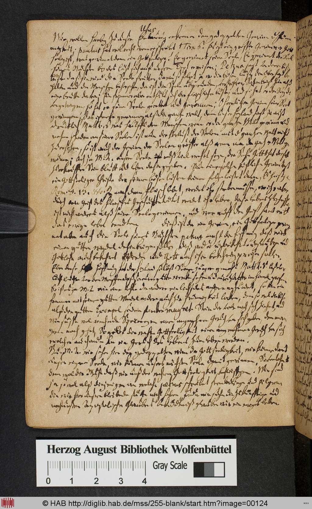http://diglib.hab.de/mss/255-blank/00124.jpg