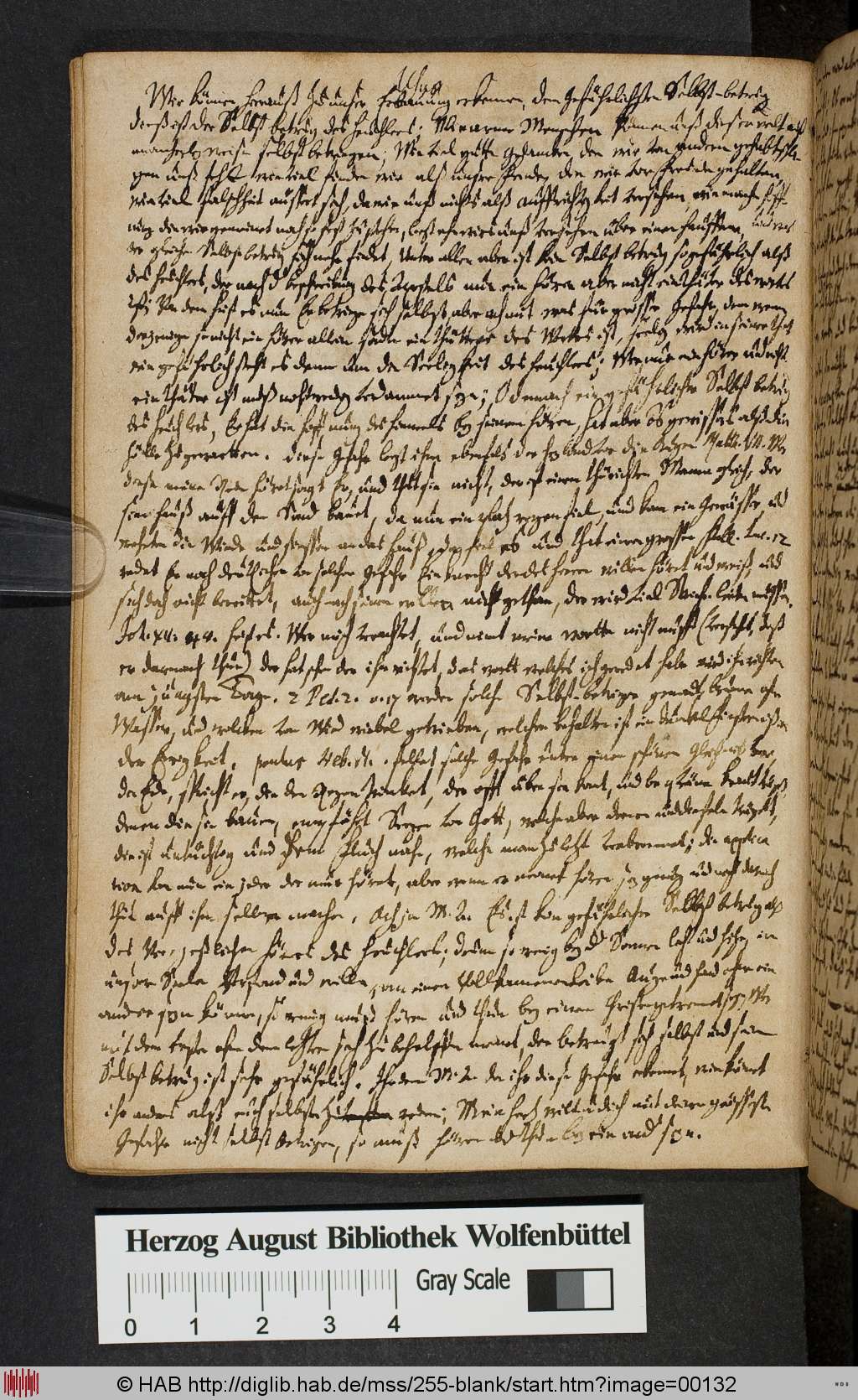 http://diglib.hab.de/mss/255-blank/00132.jpg