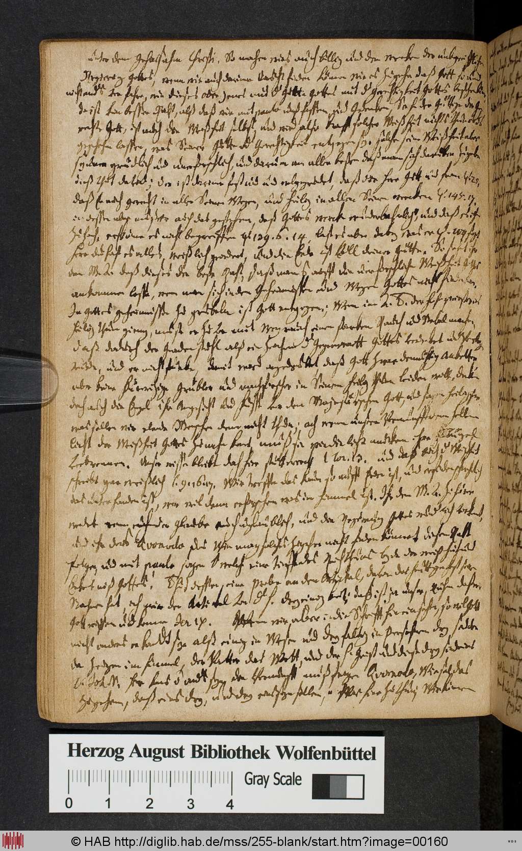 http://diglib.hab.de/mss/255-blank/00160.jpg
