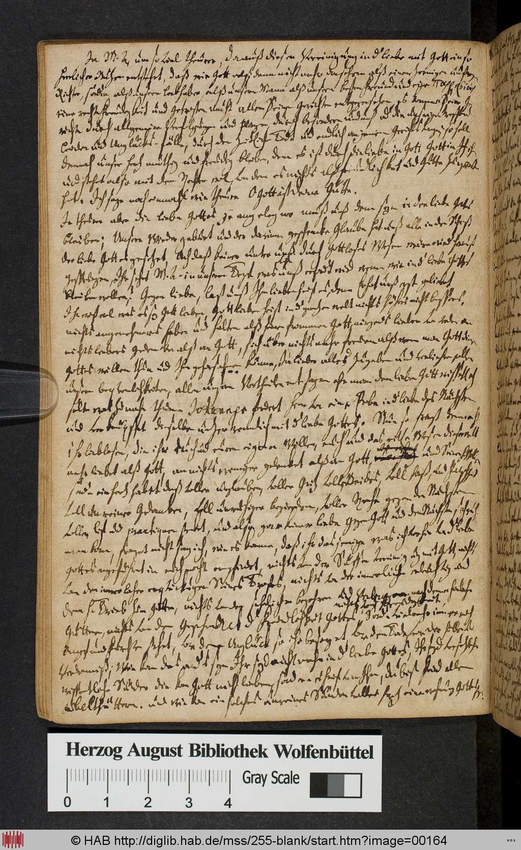 http://diglib.hab.de/mss/255-blank/00164.jpg