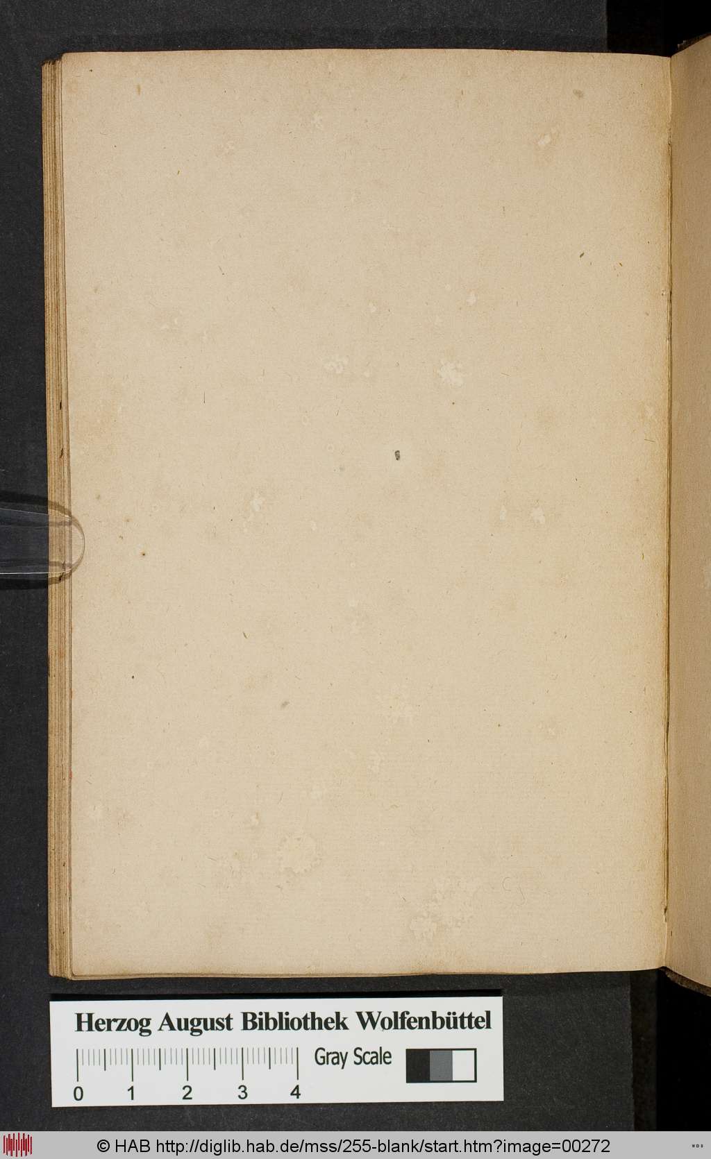 http://diglib.hab.de/mss/255-blank/00272.jpg