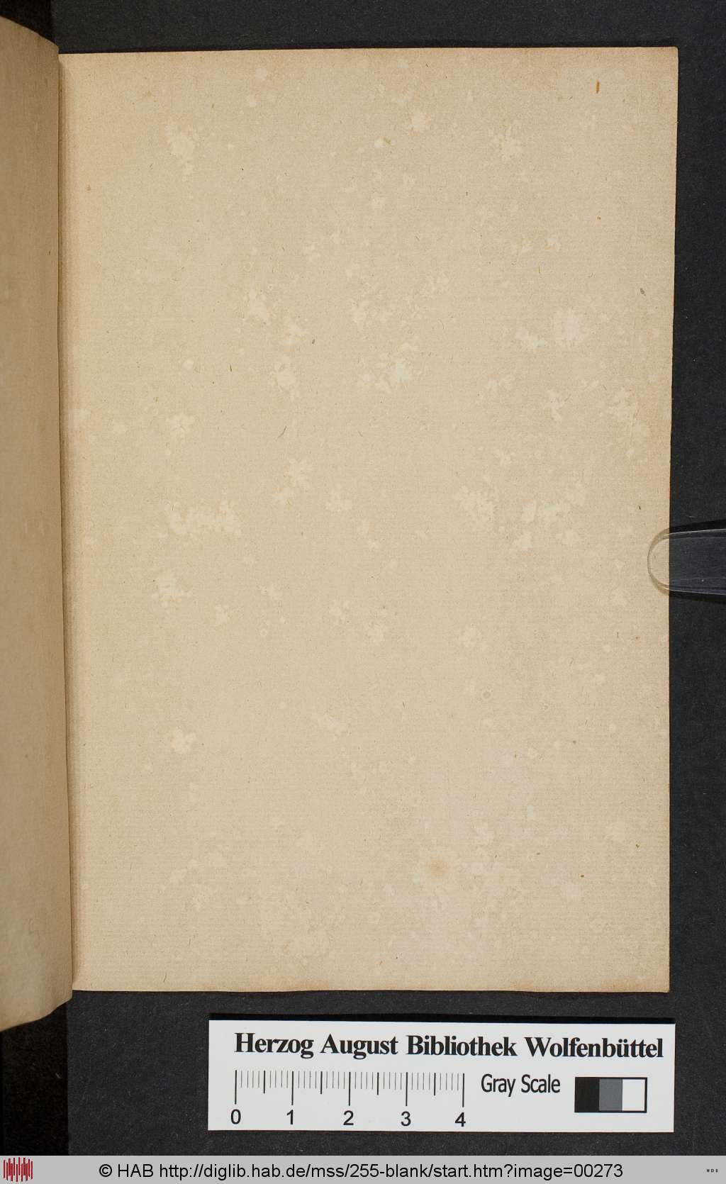 http://diglib.hab.de/mss/255-blank/00273.jpg