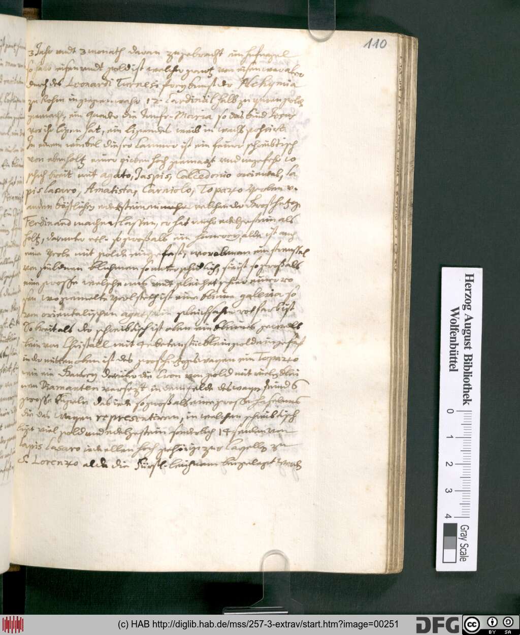 http://diglib.hab.de/mss/257-3-extrav/00251.jpg