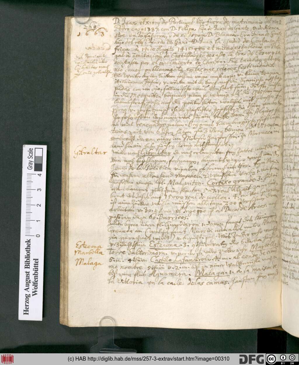 http://diglib.hab.de/mss/257-3-extrav/00310.jpg
