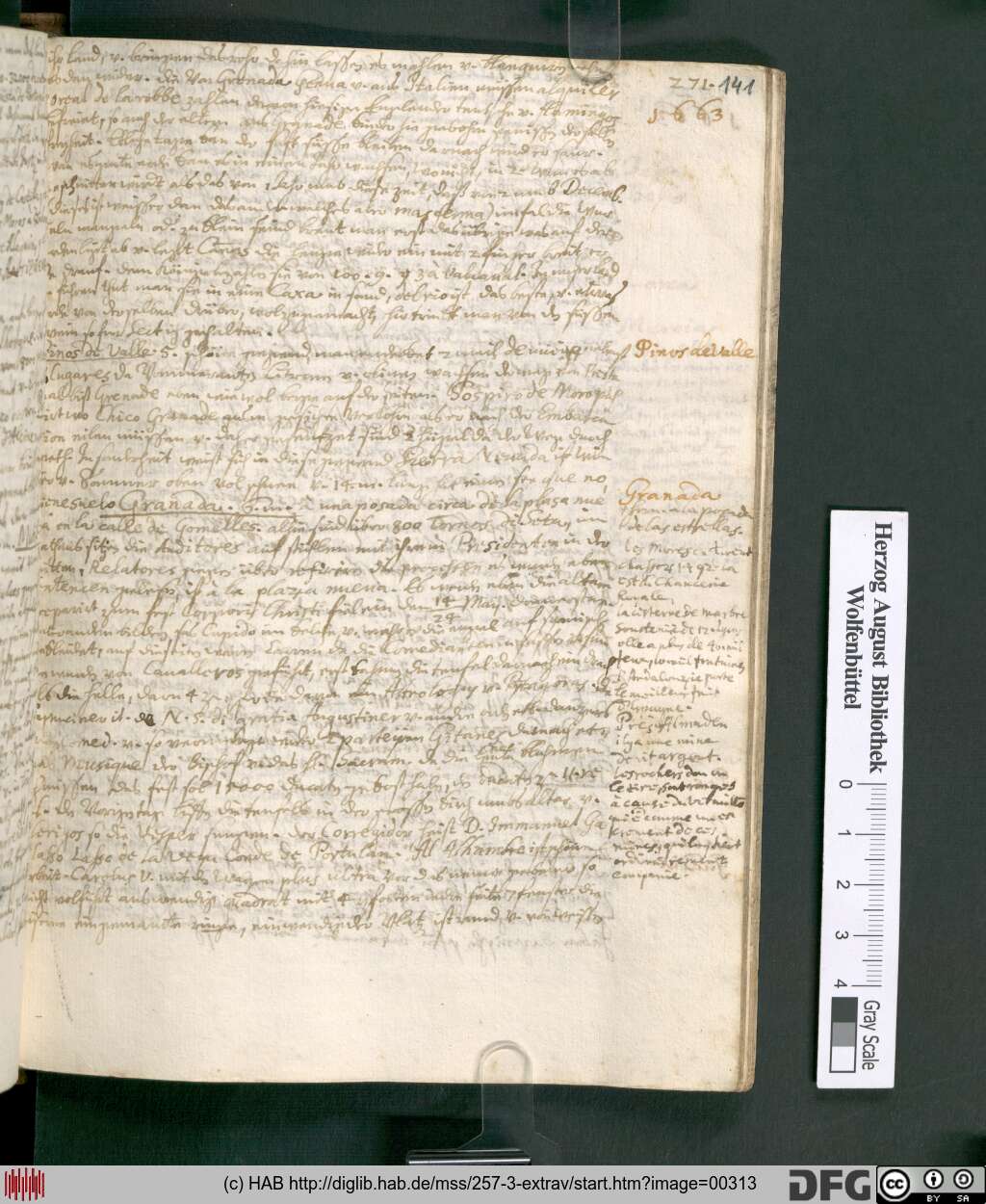 http://diglib.hab.de/mss/257-3-extrav/00313.jpg