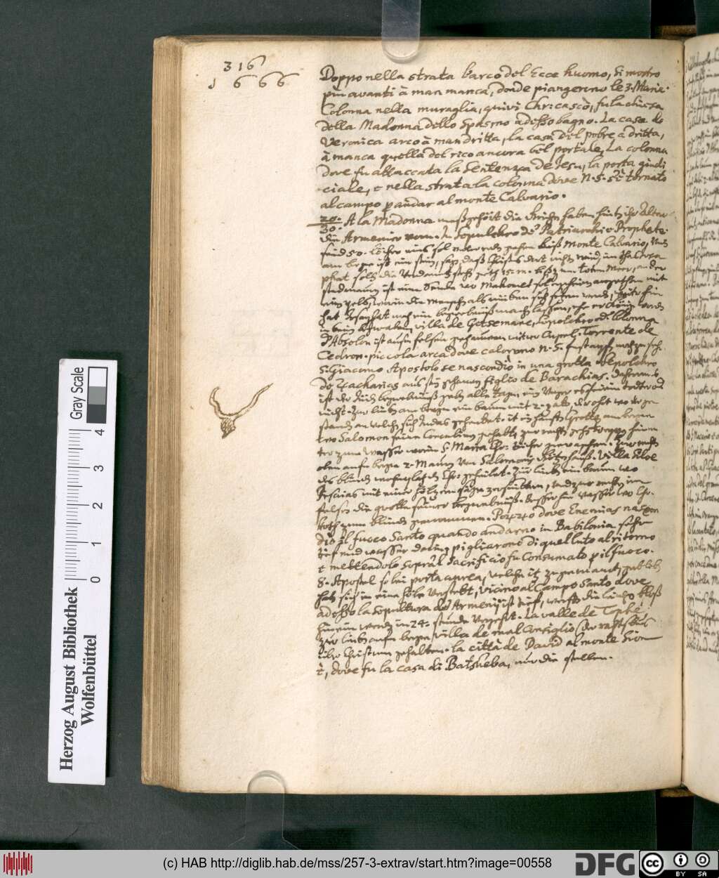 http://diglib.hab.de/mss/257-3-extrav/00558.jpg
