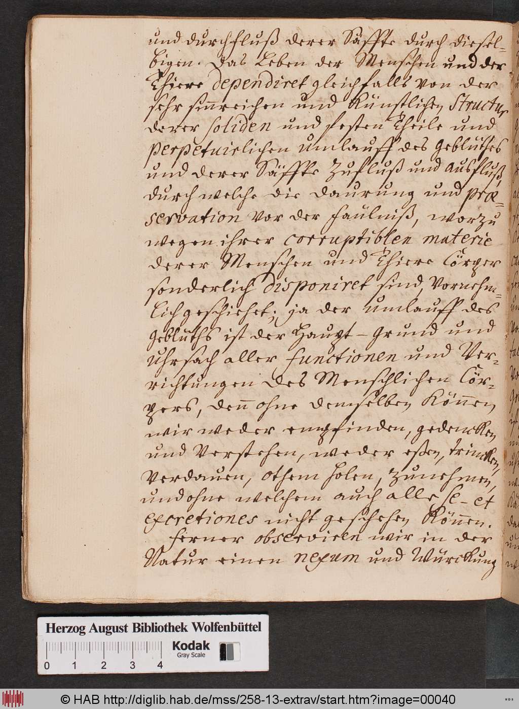 http://diglib.hab.de/mss/258-13-extrav/00040.jpg